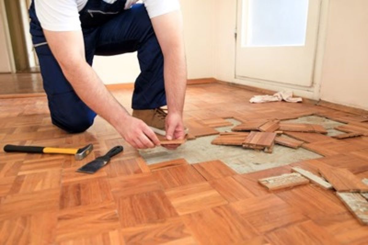 Cómo reclamar daños en la vivienda alquilada