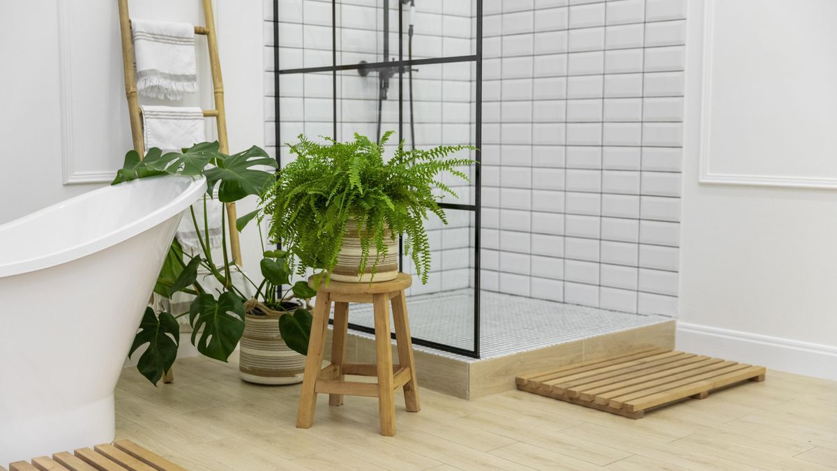 Piso sin ventilación en baño: responsabilidad del casero